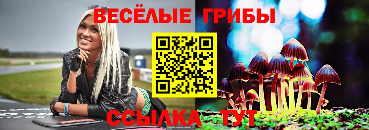 Чехов  Галлюциногенные грибы ЛСД  Вход с VPN  Псилоцибиновые грибы MAGIC MUSHROOMS 